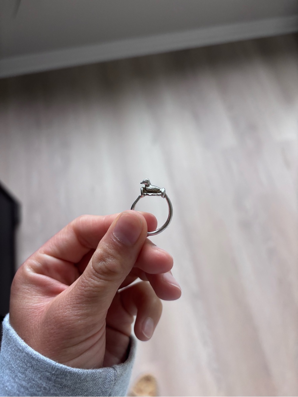 Silver Duck Ring — Men's Accessory